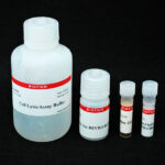 Cat_30009-3-Packaging-1