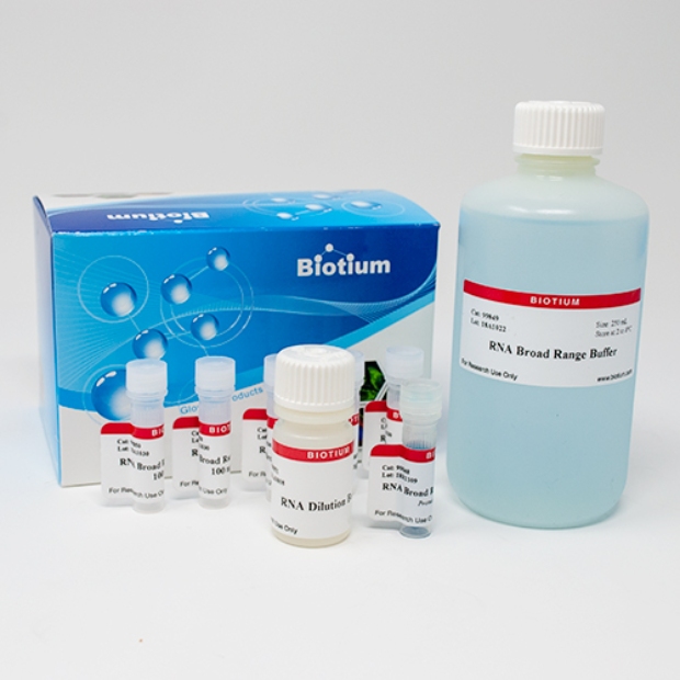 Cat 31073 Packaging 1- Immunomart