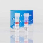 Live Bacterial Gram Stain Kit - 800 assays 1 Cat_32000-1