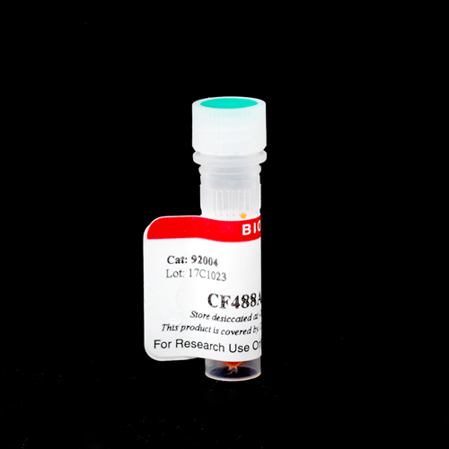 Cat 92004 Packaging 1- Immunomart