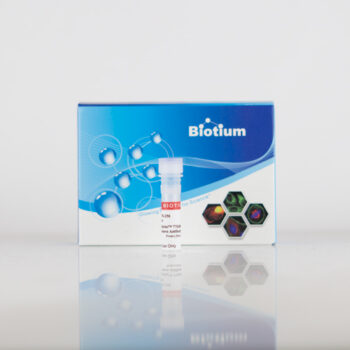 ExoBrite™ APC CD63 Flow Antibody (25 tests)