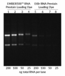 Biotium-Microvial-2