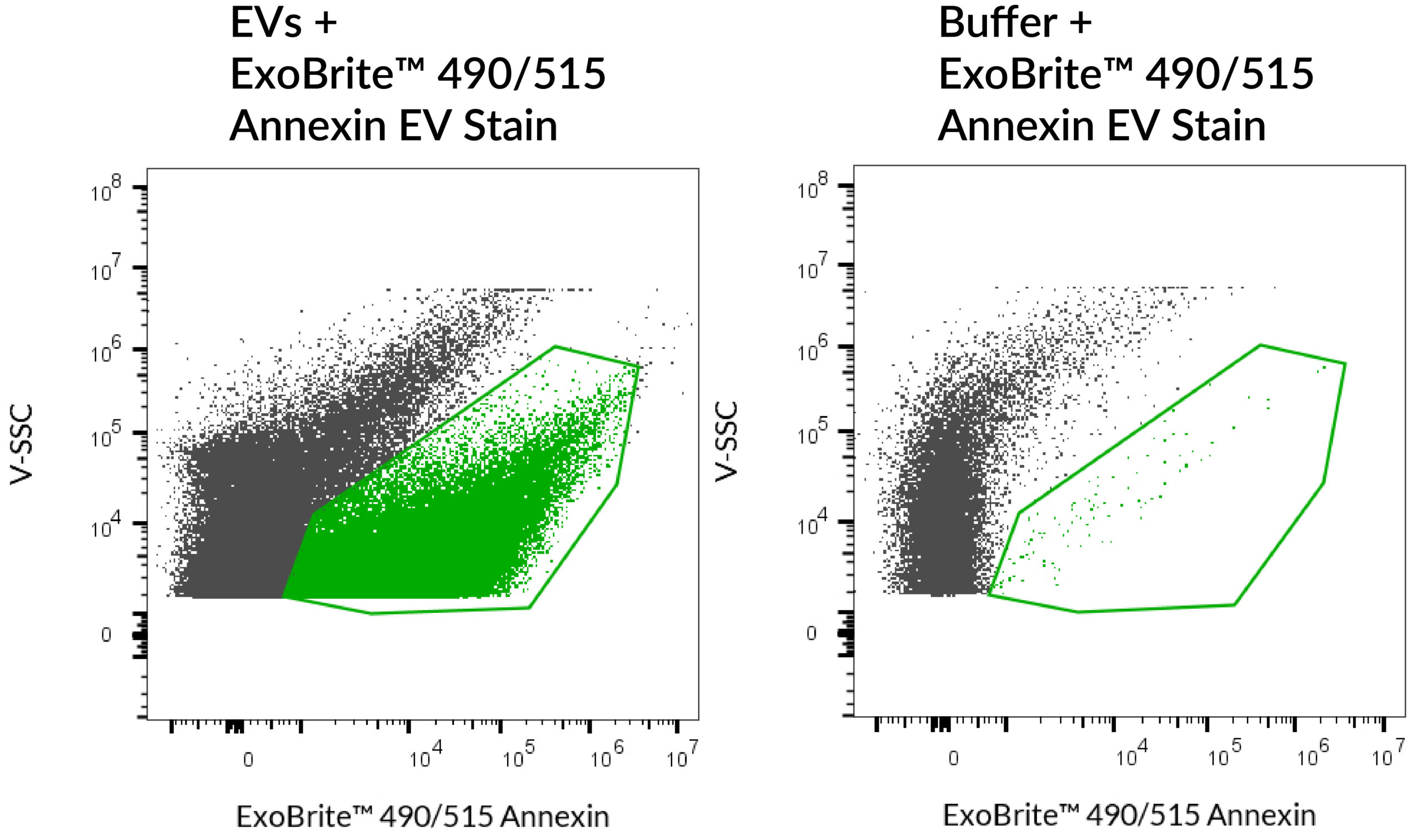 ExoBrite-490_515-Annexin-flow-qEV