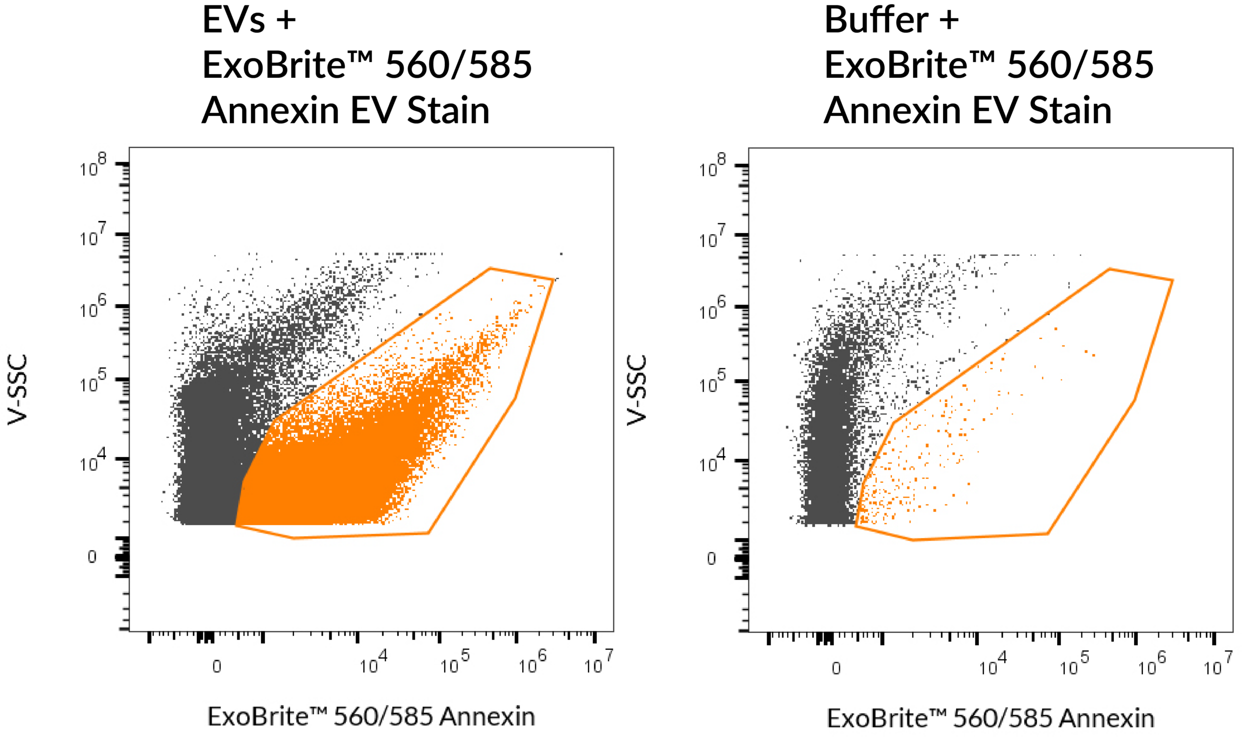 ExoBrite-560_585-Annexin-flow-qEV