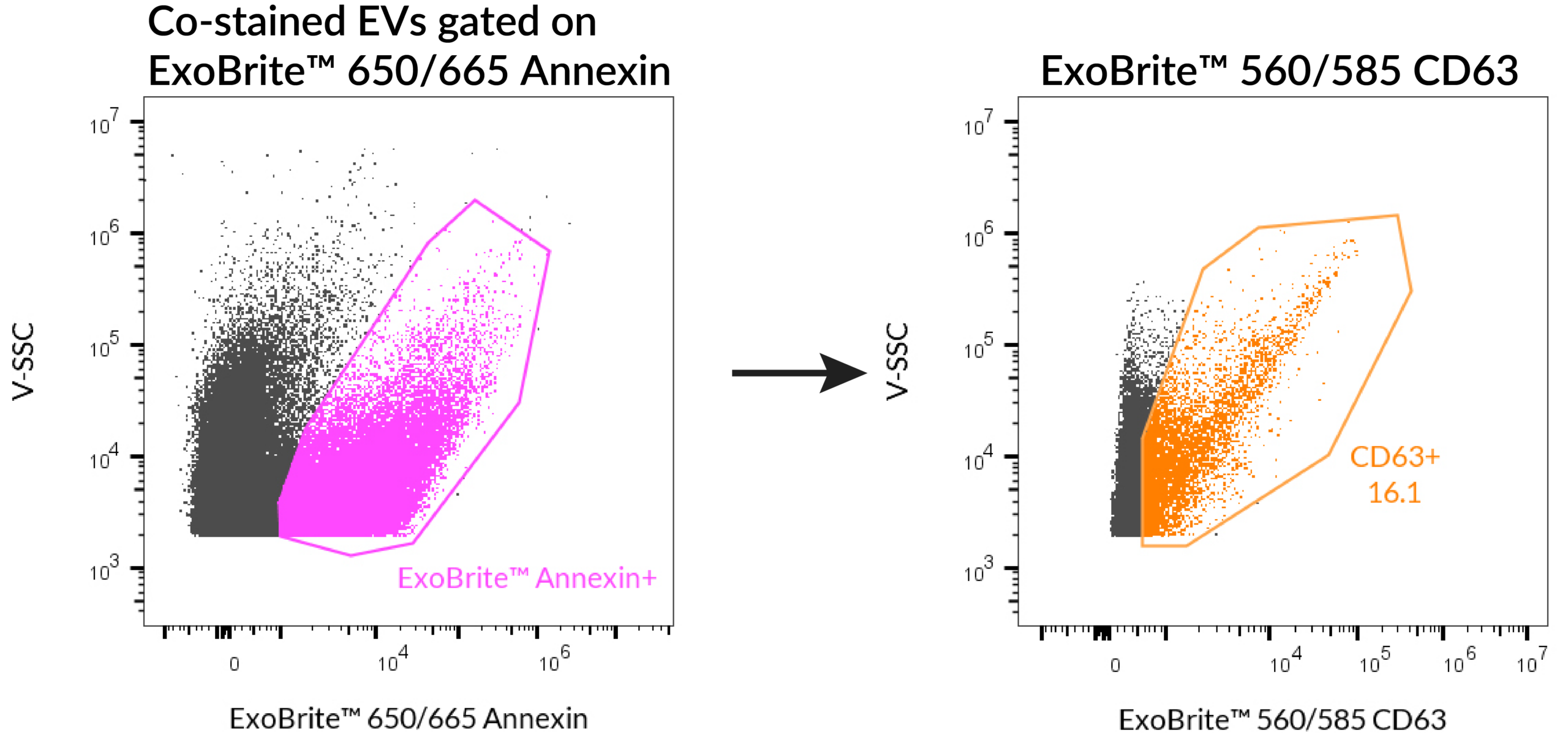 ExoBrite-655-Annexin-560-CD63-costain