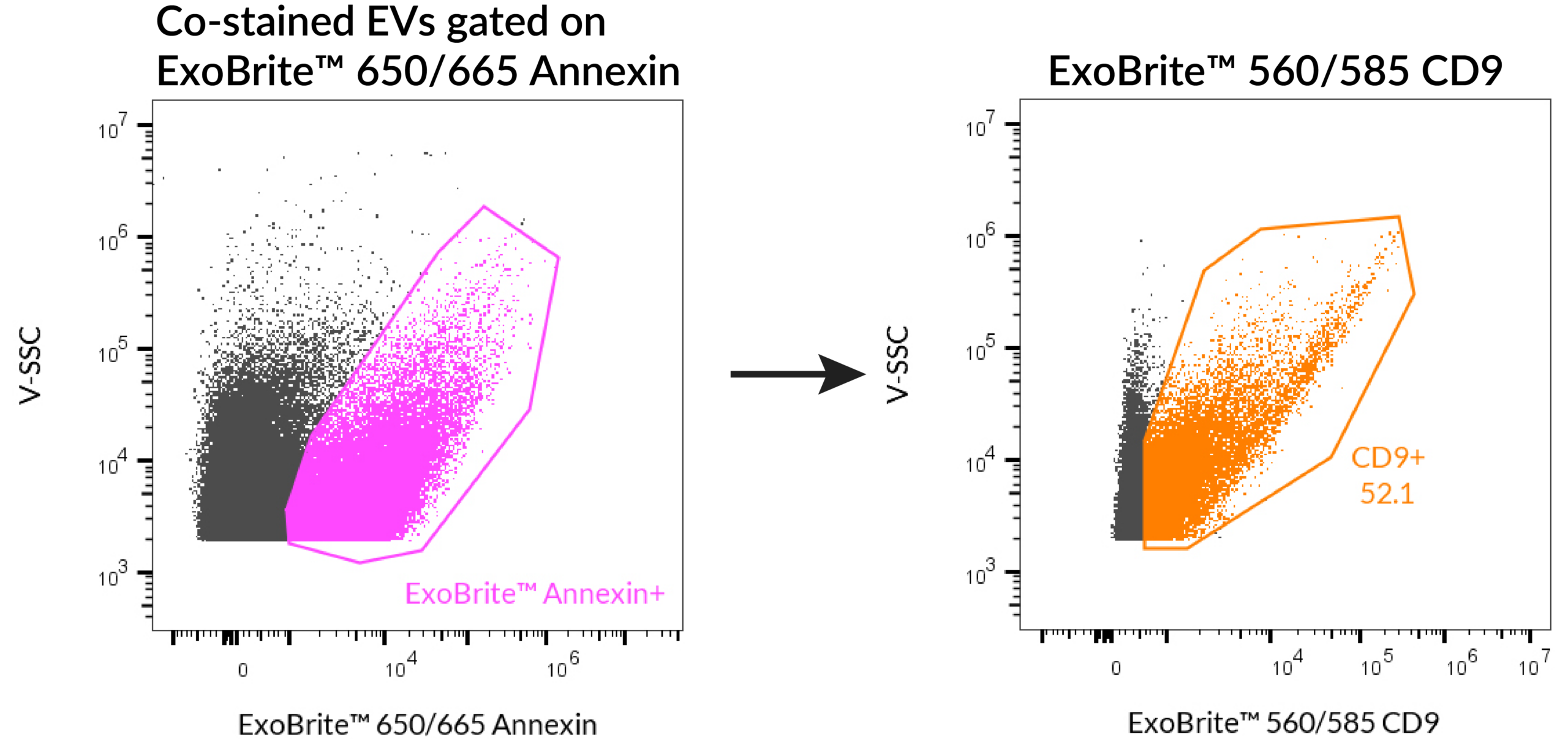 ExoBrite-655-Annexin-560-CD9-costain