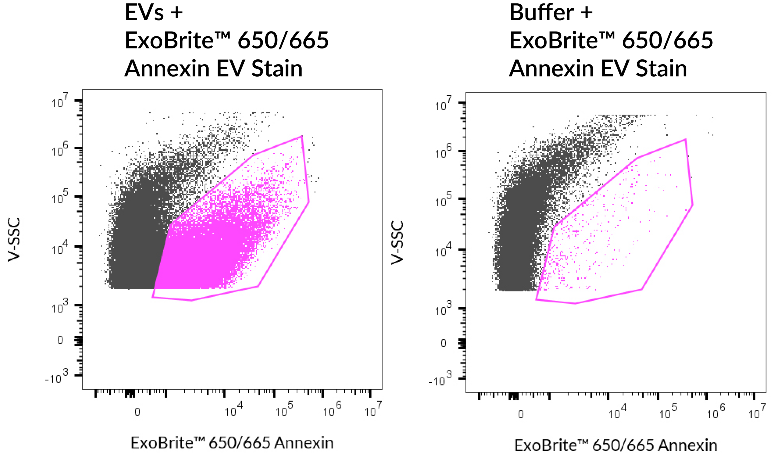 ExoBrite-655_670-Annexin-flow-qEV