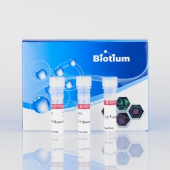 Mix-n-Stain™ Maxi CF®405L Antibody Labeling Kit, 1x1mg labeling