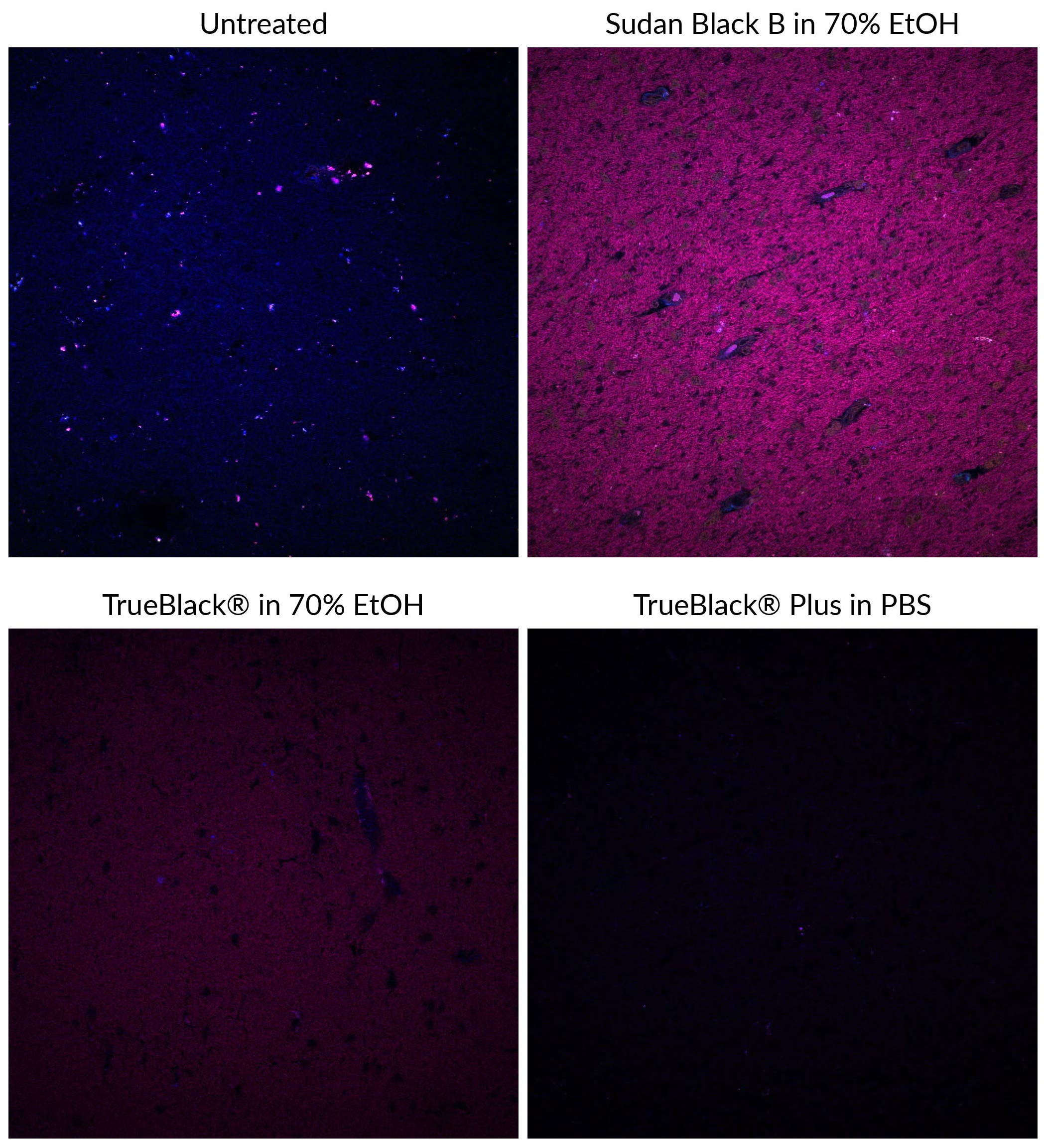 TrueBlack-vs-TrueBlack-Plus-composite