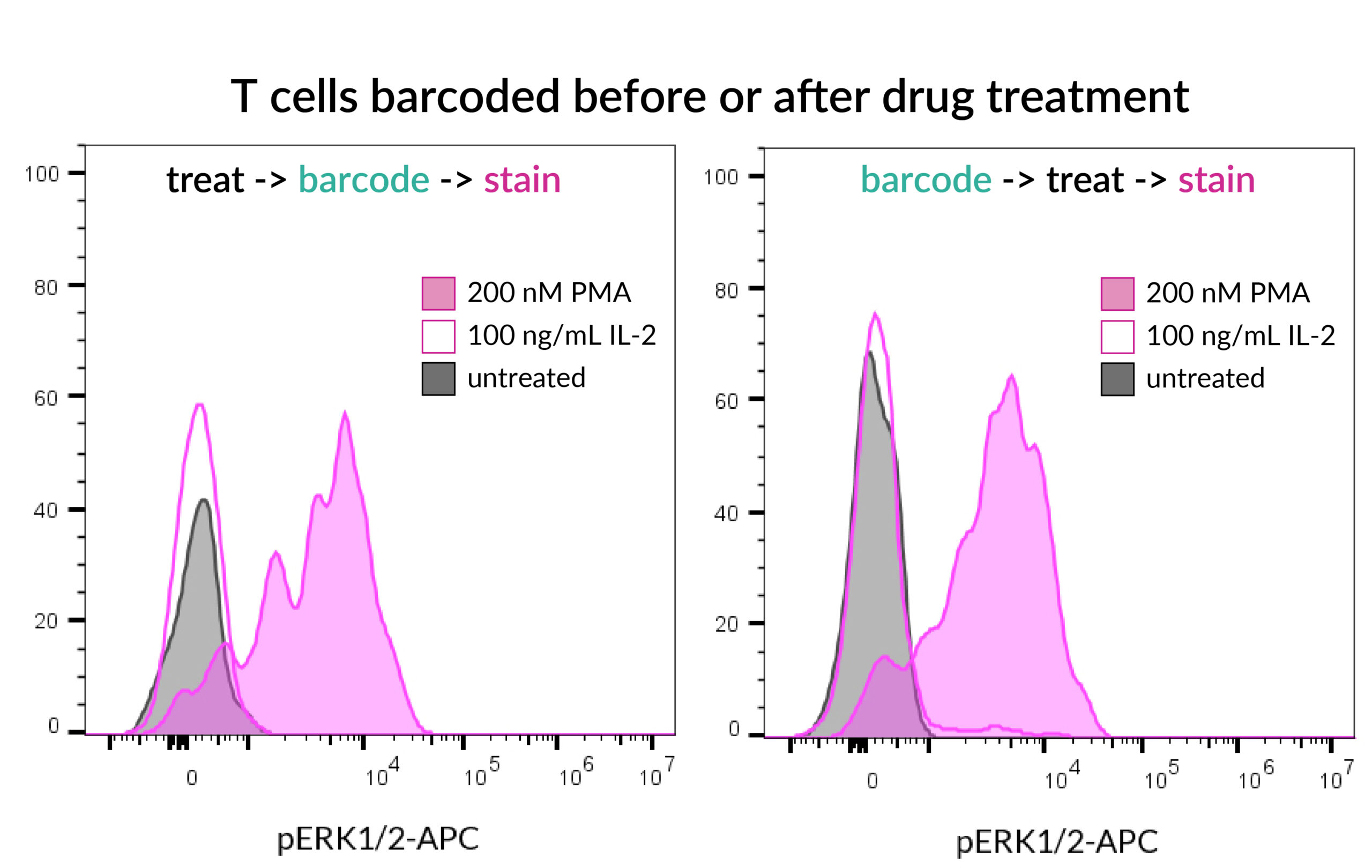 ViaPlex-barcode-timing-colored-scaled-1
