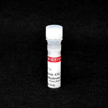 Calcein AM Cell Viability Assay Kit (1000 assays)
