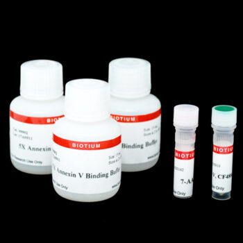 CF®488A and 7-AAD Apoptosis Assay Kit
