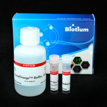 AccuOrange™ Protein Quantitation Kit, 2000 assays
