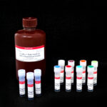 cat_31006-Packaging-1