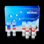 Forget-Me-Not™ Universal Probe Master Mix with ROX (500 reactions)