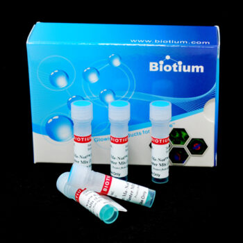 Forget-Me-Not™ EvaGreen® qPCR Master Mix (No ROX, No Template Buffer) (1000 reactions)