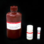 AccuGreen™ Broad Range dsDNA Quantitation Solution (500 assays) 1 cat_31069-Packaging-2