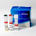Bacterial Viability and Gram Stain Kit - 200 assays
