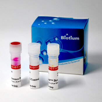 GloMelt™ Thermal Shift Protein Stability Kit with ROX
