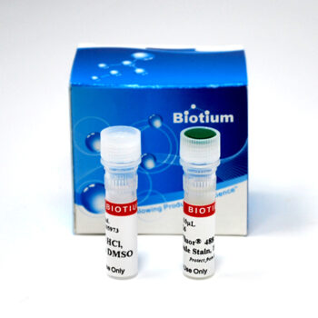 ViaFluor® 405 Live Cell Microtubule Stain, Trial Size