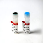 cat_70065_70069-Packaging-1
