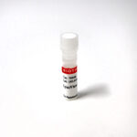 cat_70066_v2-Packaging-2