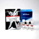 Mix-n-Stain™ Digoxigenin Antibody Labeling Kit, 3x(5-20ug) labeling