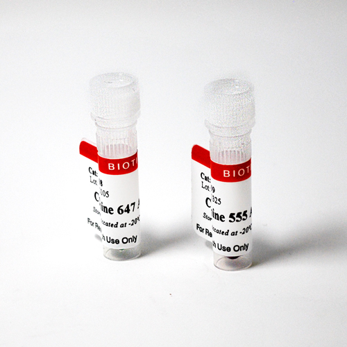 cat 96008 96009 Packaging 1- Immunomart