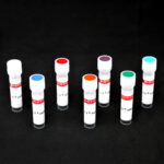 CF®750 Goat Anti-Rabbit IgG (H+L), Highly Cross-Adsorbed, single label for STORM, 1 mg/mL 1 cfdyeconjugates_7group-66