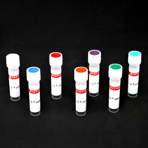cfdyeconjugates_7group-66 cfdyeconjugates 7group 66- Immunomart
