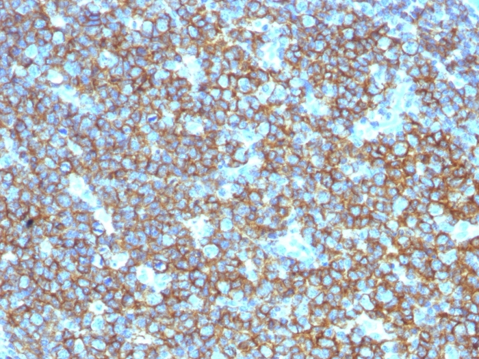 view image 180- Immunomart