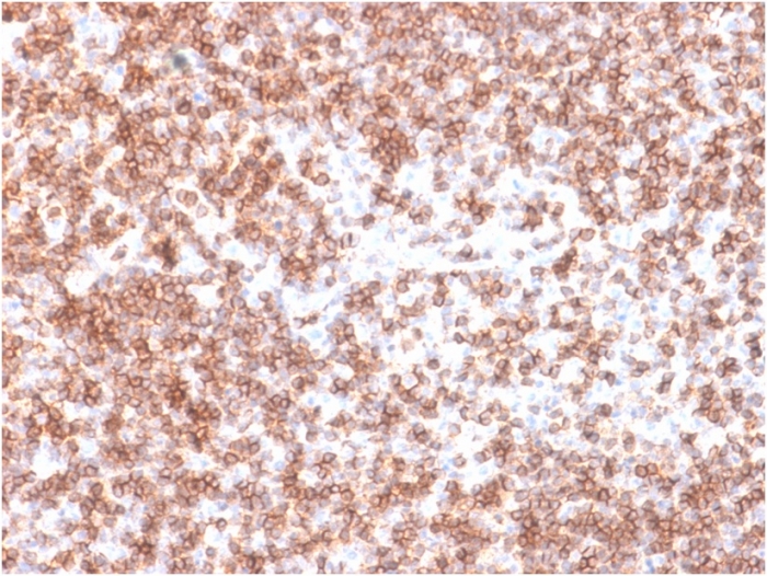 view image 701- Immunomart