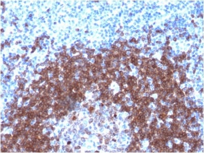 view image 79- Immunomart